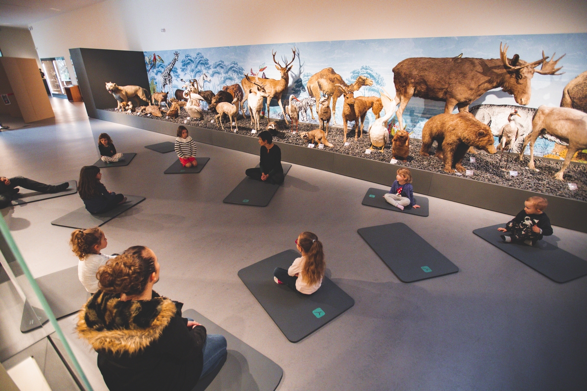 La semaine du yoga au musée Crozatier