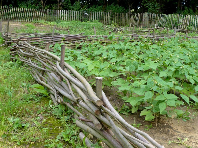 Fermeture des déchèteries : que faire de ses « déchets verts » ?  La Communauté d’agglomération vous livre de précieux conseils !