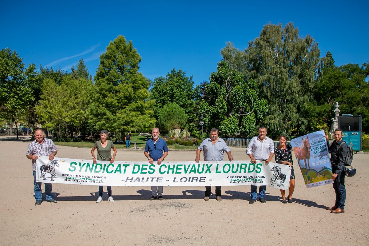 Les chevaux lourds font leur show dimanche 28 août au jardin Henri Vinay !