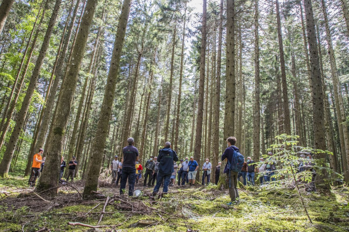 Réunion pour les propriétaires forestiers le 17 mars