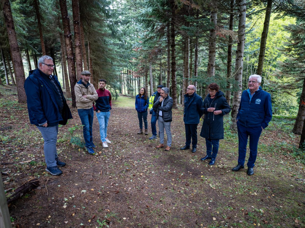 Projet partenarial de recherche et de médiation scientifique à l’Arboretum expérimental de Charvols