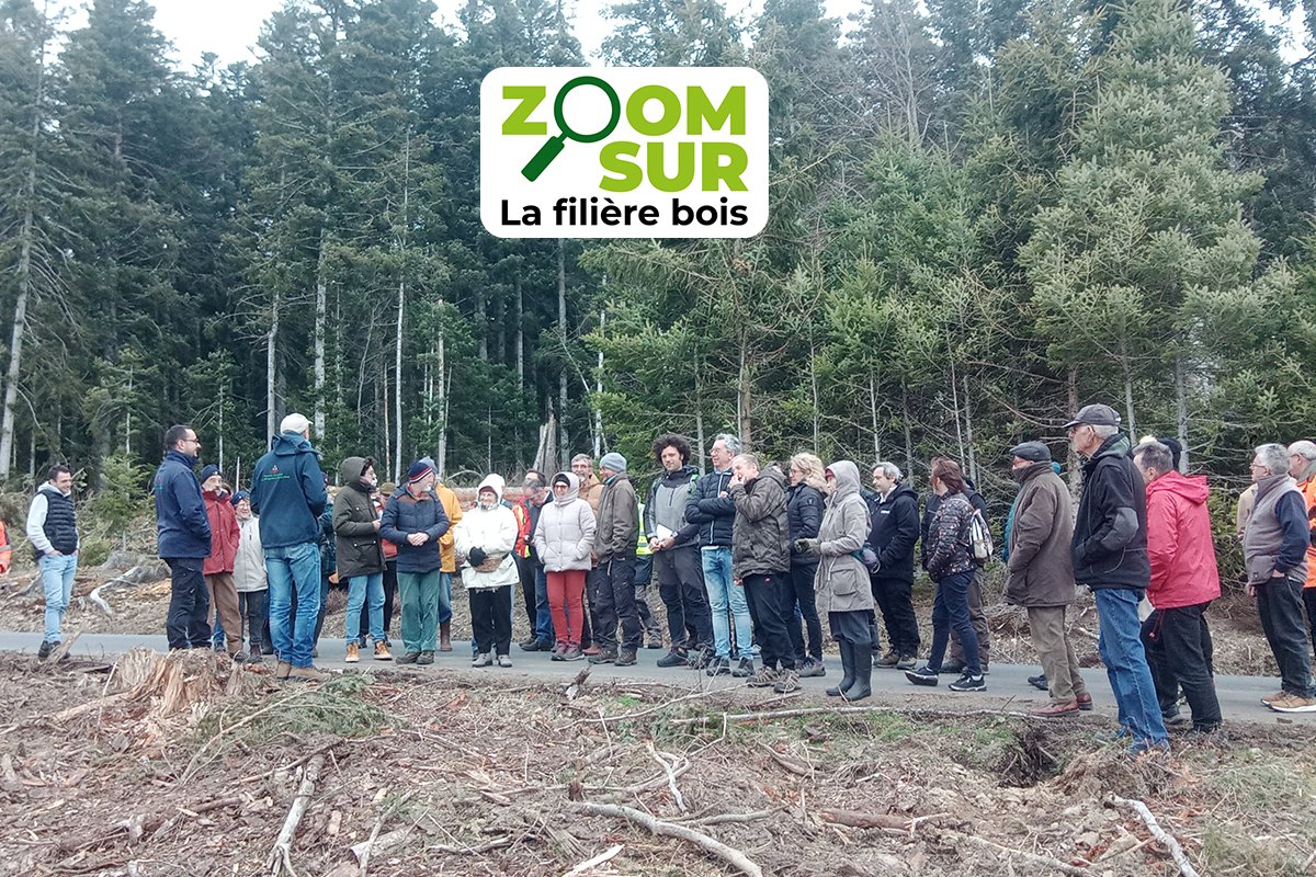 Zoom sur la filière bois #5 – Changement climatique : quel avenir pour le sapin pectiné en Haute-Loire ?